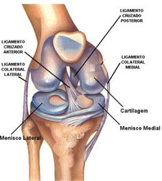 Medicine Notes, Human Anatomy And Physiology, Study Organization, Med Student, Anatomy And Physiology, Human Anatomy, Online Casino, Slot Online, Anatomy