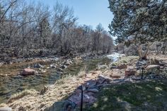 a river running through a forest filled with lots of rocks and grass next to trees