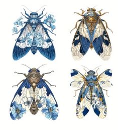 four different types of insects with blue and white designs on their wings, one in the middle