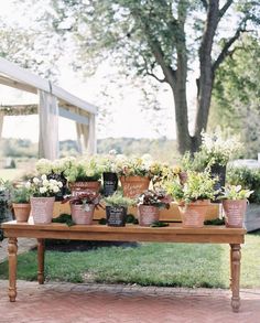 a wooden table topped with lots of potted plants