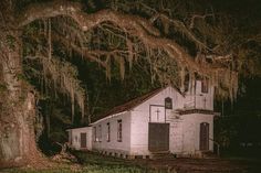 an old white church with moss hanging from the trees