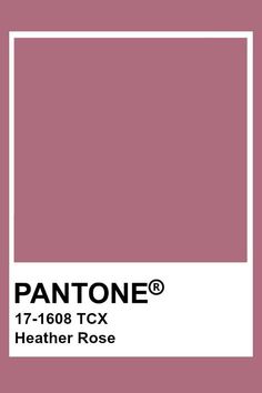 the pantone color is shown in pink and has a white rectangle on it