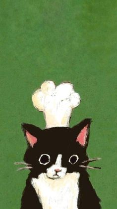 a black and white cat with a chef's hat on it's head