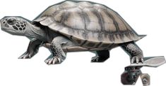 an image of a turtle that is riding on a skateboard in the day time