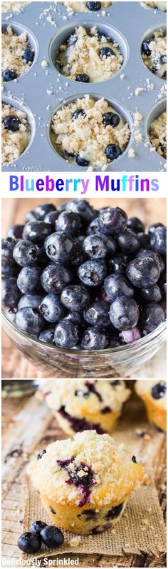 blueberry muffins in a muffin pan and on a table with other muffins