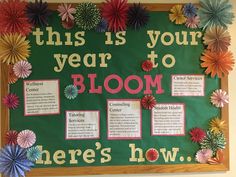 this is your year to bloom bulletin board