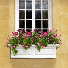 a window box filled with pink flowers next to a yellow wall