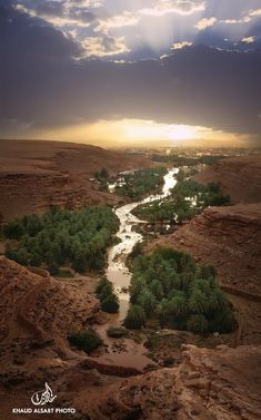 the sun shines through clouds over a river and desert landscape with palm trees in the foreground