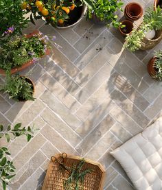 an overhead view of plants and potted plants on a patio with a wicker basket