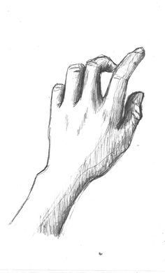 a pencil drawing of a hand holding something