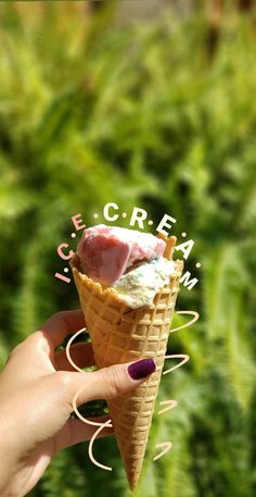 a hand holding up an ice cream cone in front of green plants and bushes with the word ice cream written on it