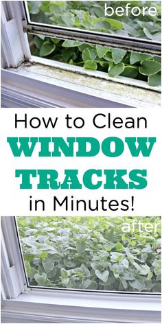 an open window with plants growing in it and the words how to clean window tracks in minutes