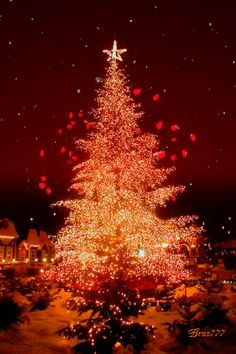 a christmas tree is lit up in the dark