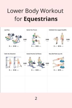 the lower body workout for equiestrains is shown in this exercise manual