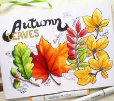 an open coloring book with autumn leaves on it