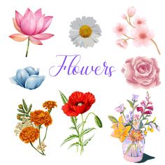 a bunch of flowers that are on a white background with the words flowers above them