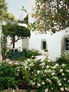 a white house with trees and flowers around it