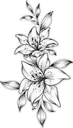 an ink drawing of a flower