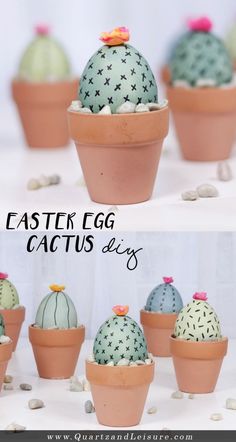 several small cactus plants in clay pots with the words, easter egg cactus diy