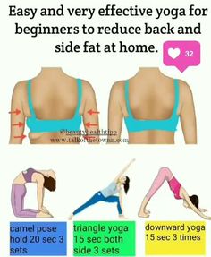 30 Day Workout Plan, Yoga Facts, Beginner Yoga Workout, Acupressure Massage, Lemon Benefits, Owl Plush, Easy Yoga Workouts