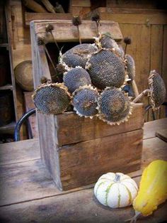 a bunch of fruit sitting on top of a wooden table next to a yellow squash