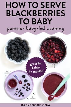 purple baby puree in a bowl; blackberries simmering in a pot; fresh raspberries in a bowl Blackberry Puree, Blackberry Oatmeal, Apple Baby Food, Yogurt Oatmeal, Banana Baby Food, 6 Month Baby Food, How To Freeze Blackberries, Boo Board, Toddler Foods