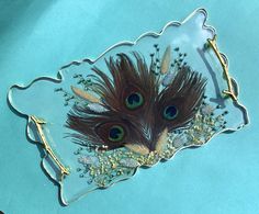 two peacock feathers sitting on top of a glass plate