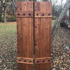 two wooden doors in the middle of leaves on the ground next to a tree with no leaves