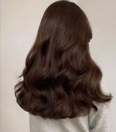 Chestnut brown boasts a beautiful blend of red and brown tones. It's a popular choice for a natural look. Mocha Brown Hair, Hair Stages, Brown Hair Inspiration, Mocha Hair, Warm Brown Hair, Chestnut Brown Hair, Chestnut Hair, Chestnut Hair Color, Chocolate Brown Hair Color