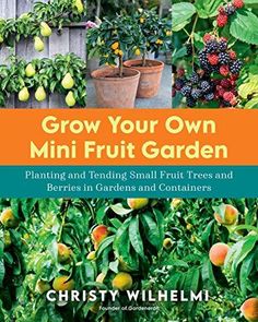 the cover of grow your own mini fruit garden, featuring peaches and other fruits