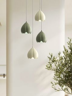 three green and white vases hanging from the ceiling next to a potted plant