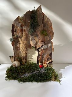 a rock with moss growing out of it