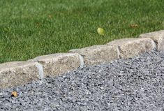 a bird is standing on the edge of a stone wall in front of some grass