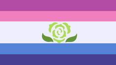 the rainbow flag with a rose on it