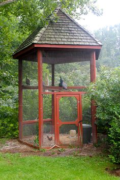 a red chicken coop in the middle of a green yard with two birds on top