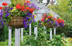 several hanging baskets filled with colorful flowers in front of a house