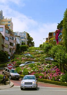 a car driving down a street next to lush green hillside covered in pink and white flowers