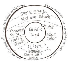 a diagram showing the different parts of a black and white color wheel, labeled in several words