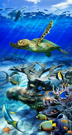 an underwater scene with many different types of fish and sea creatures in the water, including turtle