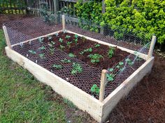 a wooden box filled with lots of dirt and small green plants in front of a fence