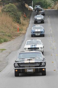 several cars driving down the road with trees in the background