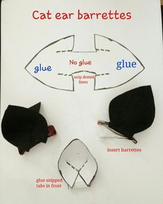 the cat ear varieties are shown on a white board with red and blue marker marks