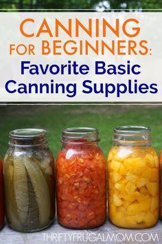 the canning for beginners favorite basic canning supplies are in mason jars and lined up on a picnic table