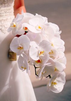 a bride holding a bouquet of white orchids