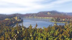 an aerial view of a lake surrounded by trees