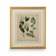 a painting with flowers and leaves in a gold frame