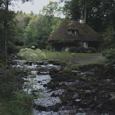 a stream running through a lush green forest filled with lots of trees and bushes next to a thatched roof house