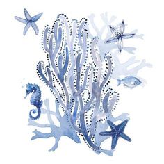 an ocean scene with starfish and seahorses