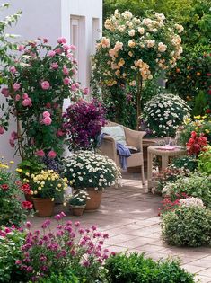 the garden is full of flowers and plants