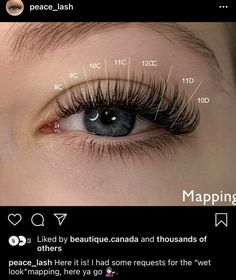 Lashes Extensions With Numbers, Princess Lash Extensions, Wispies Lashes Extensions, Lashify Lash Map, Lash Extension Map, Lash Extensions Mapping, Tattoo Artist Tattoo